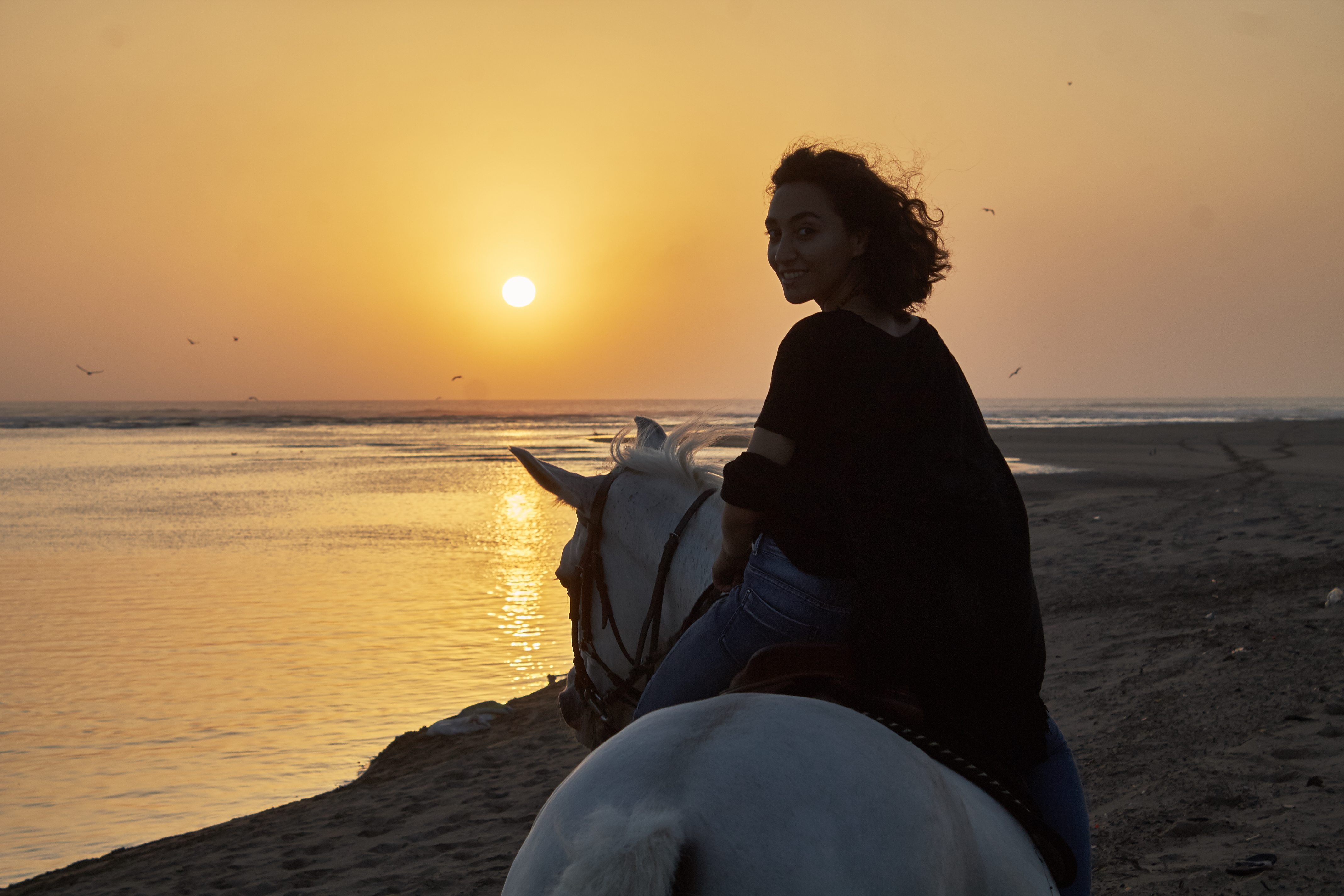 Horse and Poney riding - Slider 02