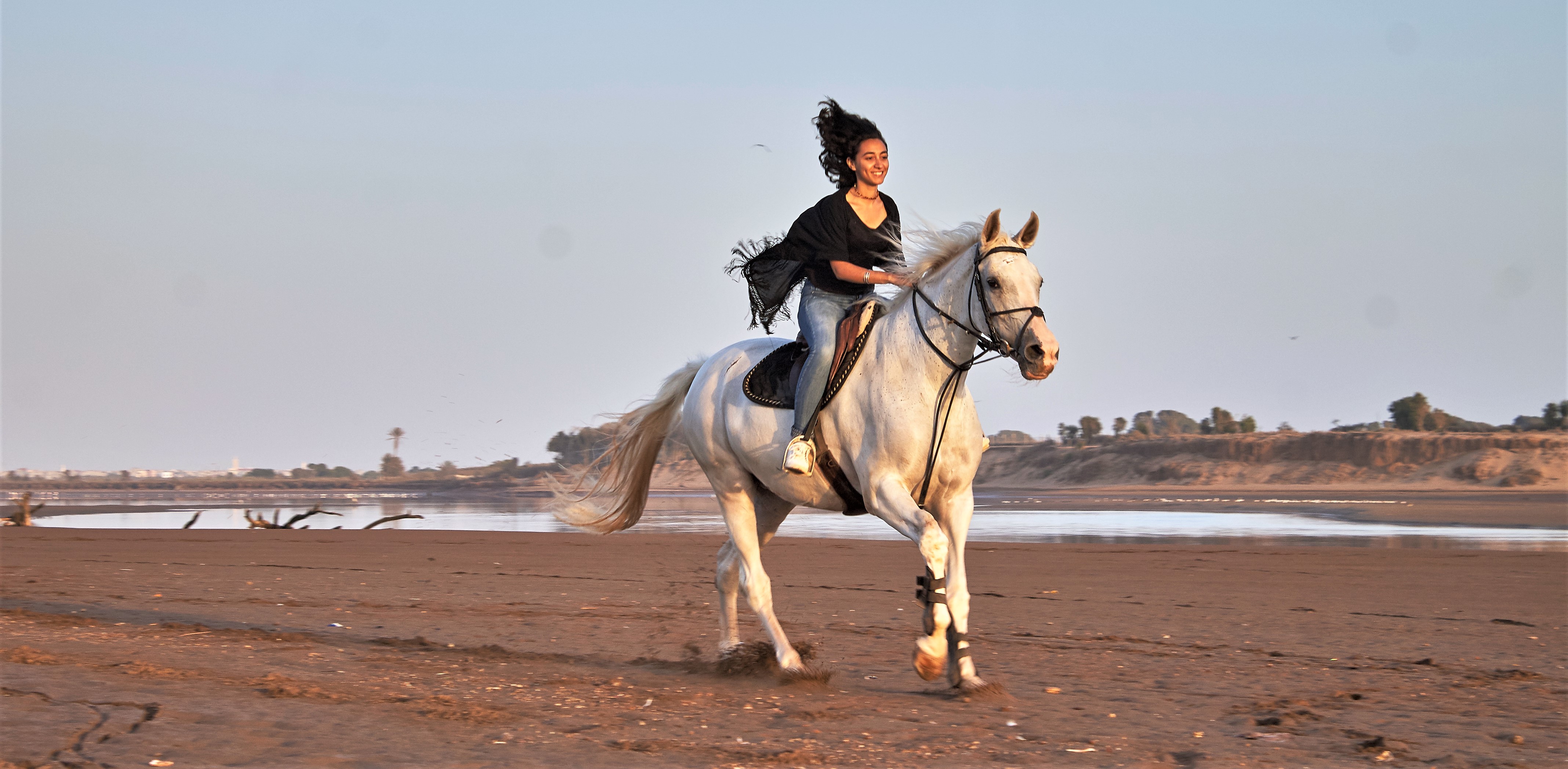 Horse and Poney riding