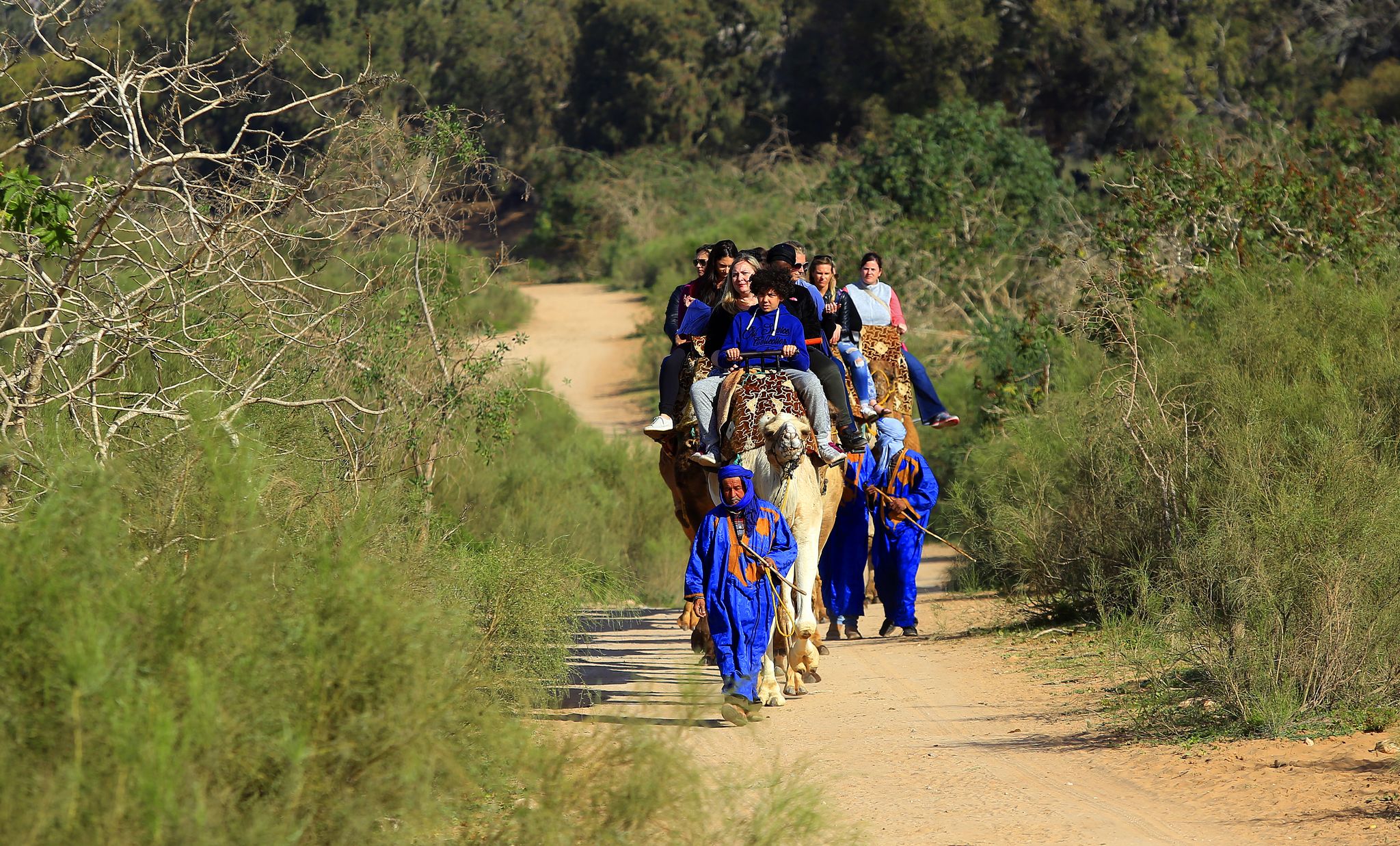 Camel riding - Slider 01