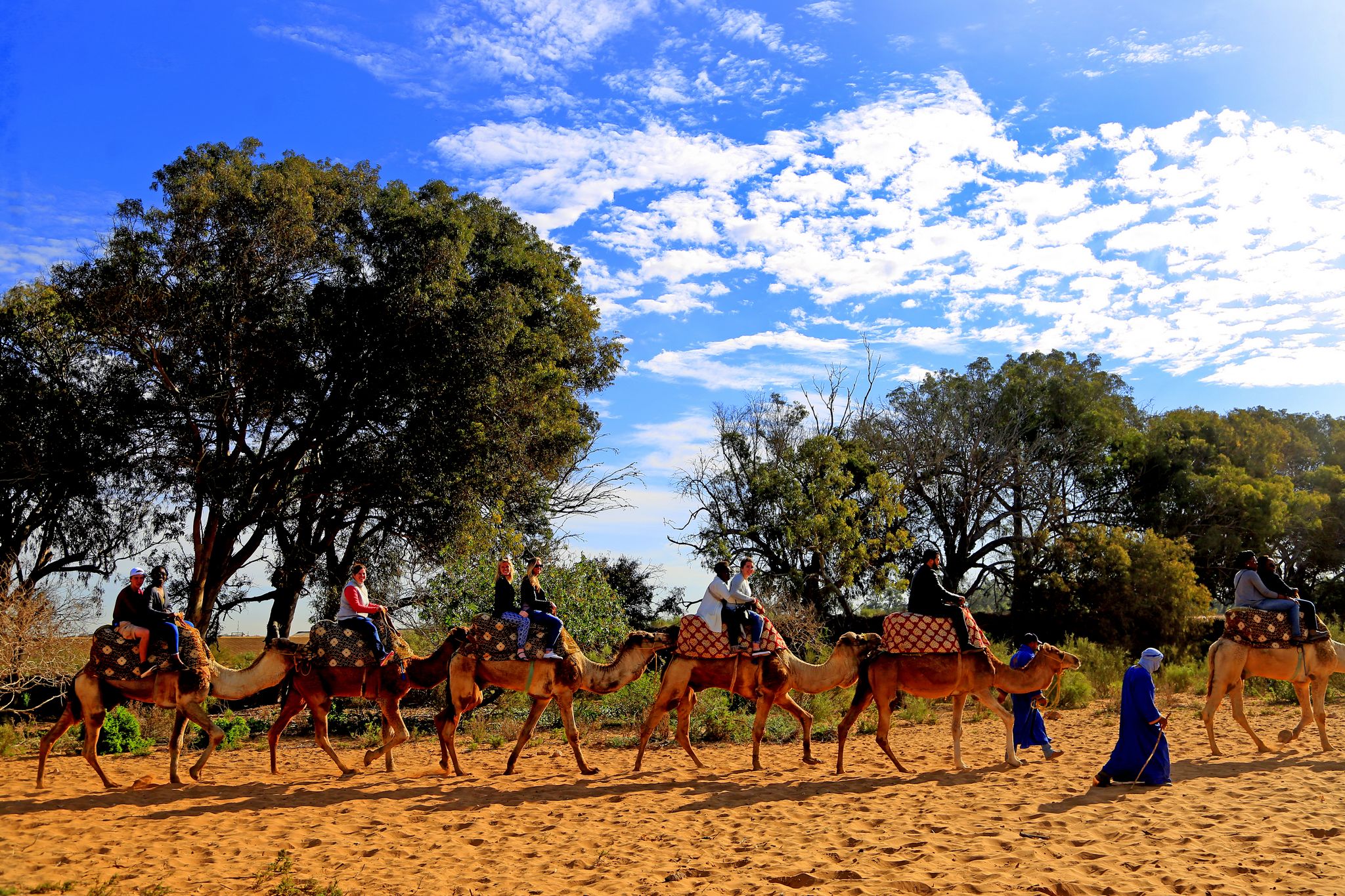 Camel riding - Slider 02
