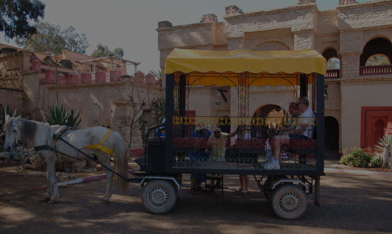 Horse-drawn carriage (Old school)