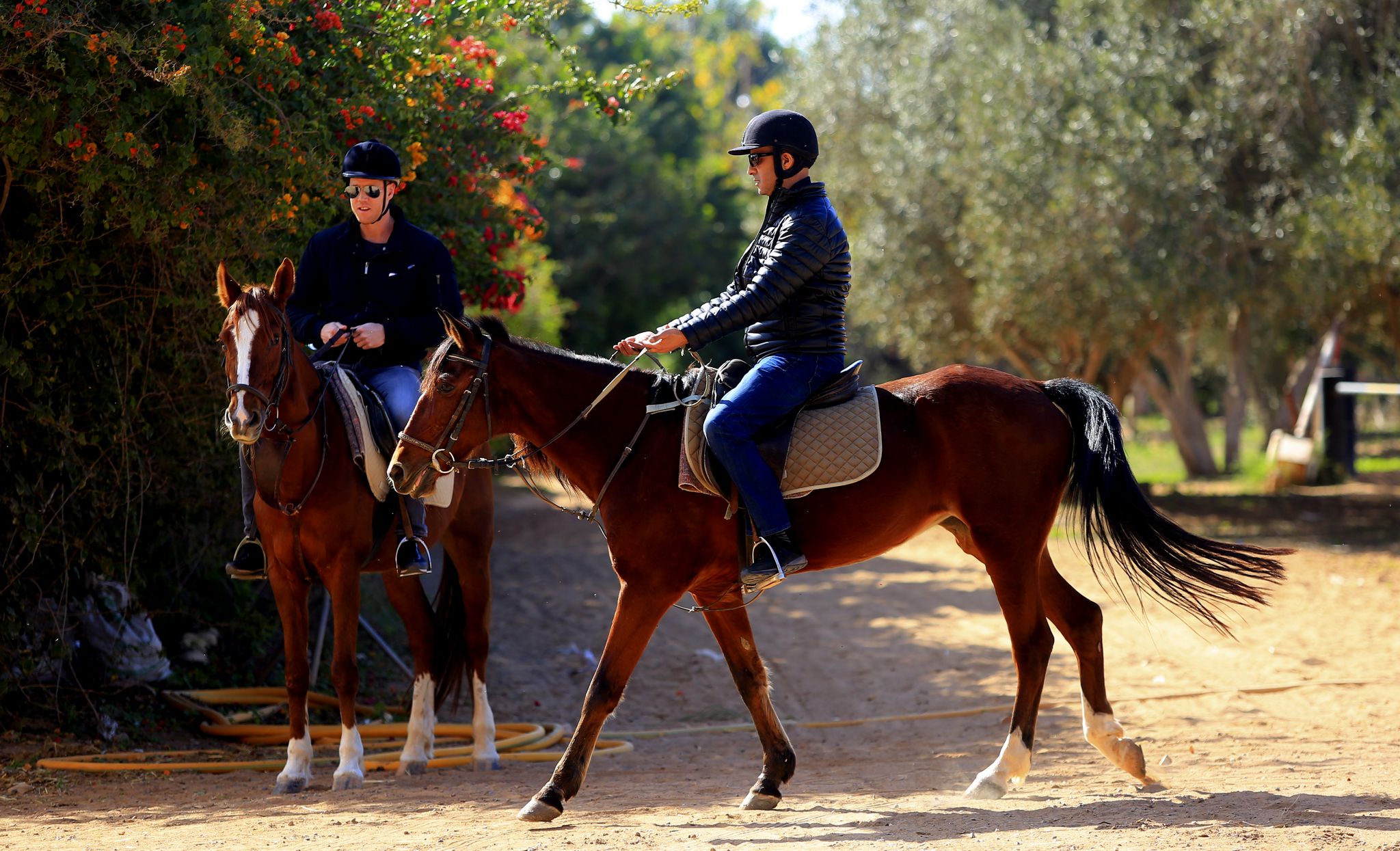 Horse and Poney riding - Slider 01
