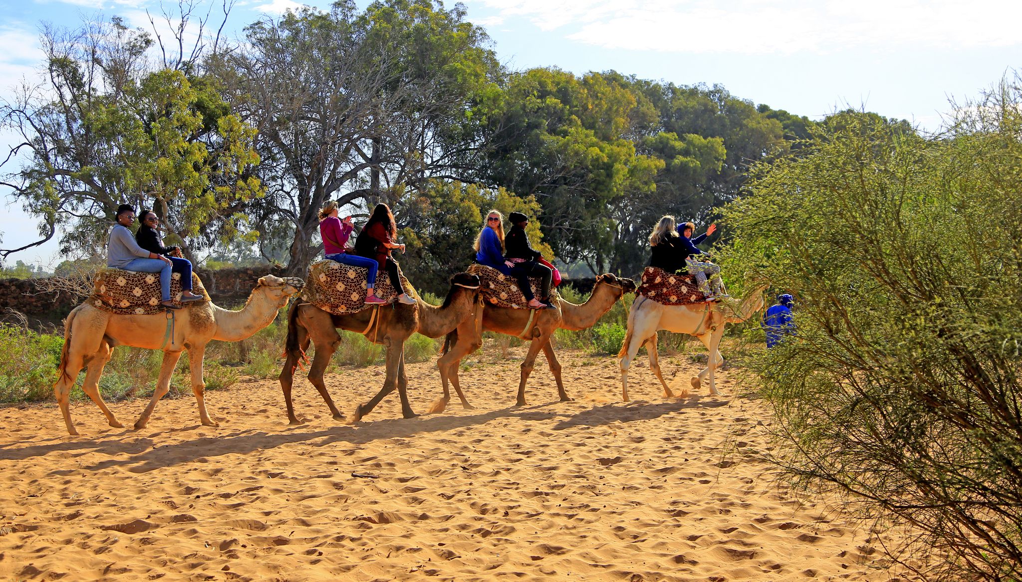 Camel riding - Slider 03